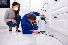 Best Pest Prevention Services  in Massanetta Springs, VA